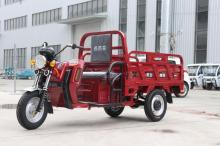 Fashion 3 Wheels Passenger Electric Tricycle