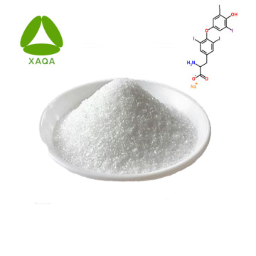 Thyroid Porcine Powder 98% CAS No 50809-32-0