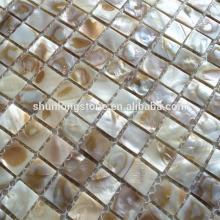 Beige Mixed Dyed Shell Mosaic,natural shell mosaic,natural mosaic tile