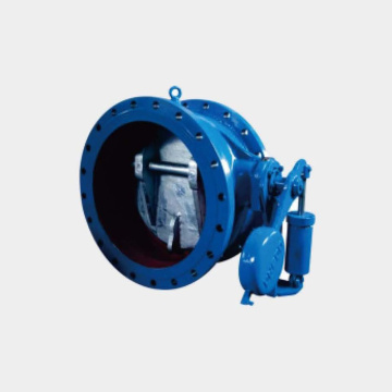 Butterfly buffer check valve