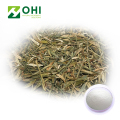 Andrographis Paniculata Extract Andrographolide Powder