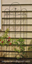 Wrought iron trellis