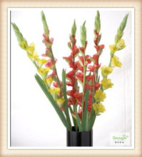 High quality artificial Decorative New Style Gladiolus