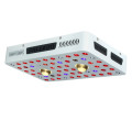 COB LED Grow Light Crecimiento de plantas Lámpara interior