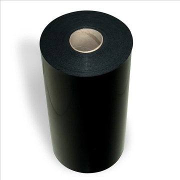 PP High intensity transparent roll blister sheet