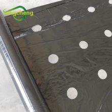 Garden ground cover black mulch film with holes