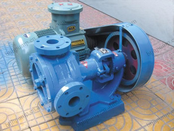 Professional rotor pump transporting high viscosity material