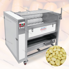 Industrial Brush Roller Root Vegetable Washing and Peeling Machine