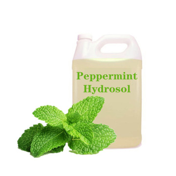 Hydrolat naturel de menthe poivrée pour la revente