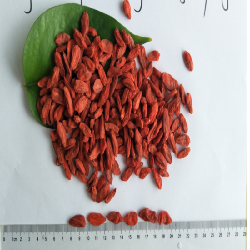 Lågrester Bulk Partihandel Ningxia Goji Berry