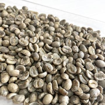 Yunnan aa grade des grains de café arabica