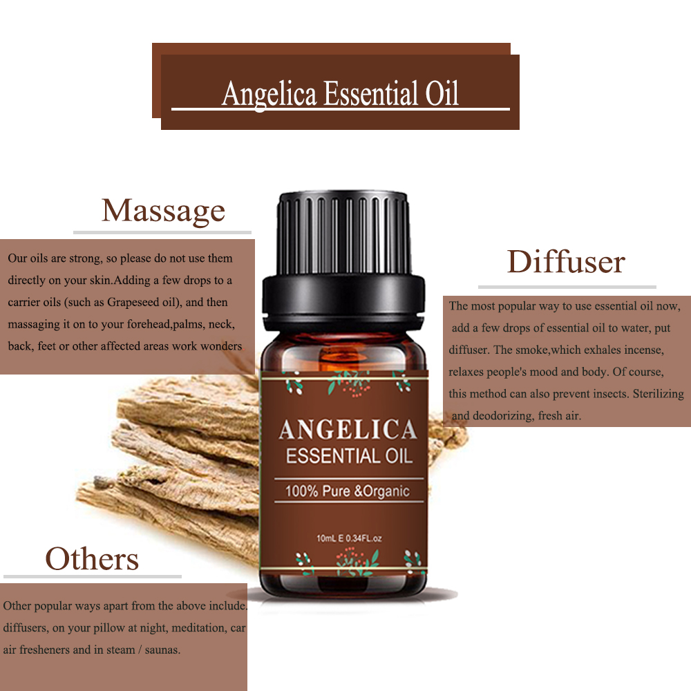 Angelica Aroma Perfume Fragrância Bulk Pure Essential Oil