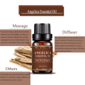 Angelica Aroma Perfume Fragance Bulk Pure Essential Oil