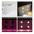 2000W LED Grow Light Gewächshaus