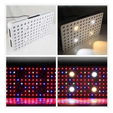 2000W Led Grow Light Invernadero