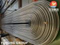 ASTM A213 TP304 Seamless U-Bend-Rohr für Kessel