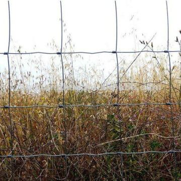 ranch and farm fence