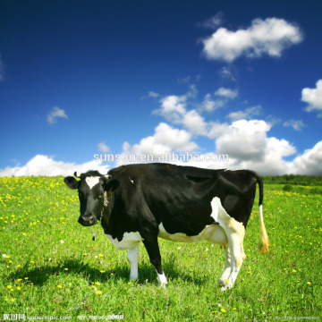 Alimentar enzimas de célulasa de ácido aditiva para animales