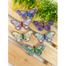 Butterfly craft cut out