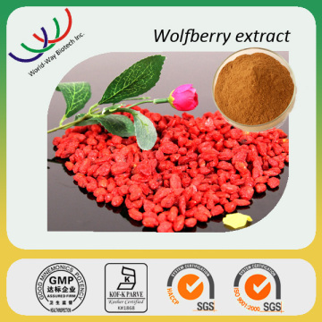 Hot sales 2016 Chinese goji berry,Goji Berry Extract