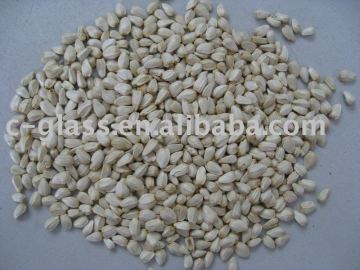 white safflower seeds