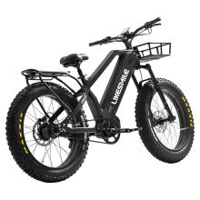 Factory Direct ROHLOFF 14 Speeds IGH Hub Electric Bike: Adult Mountain Bike