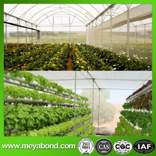 HDPE Agriculture Anti Insect Net, White Fly Insect Net