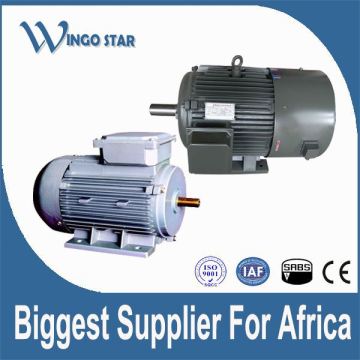 ac motor with different voltage