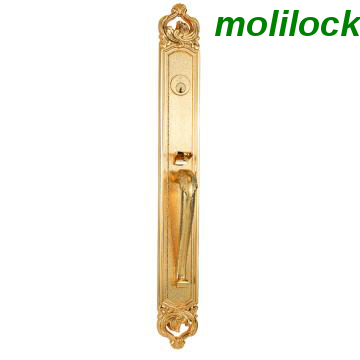 Luxury Fleet-escaped Door Lock