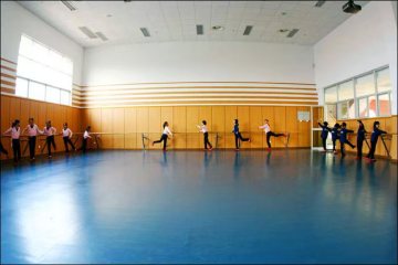 Dancing Floor with Outstanding Physical Performance