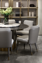 Modern Dining New Design Dining chair