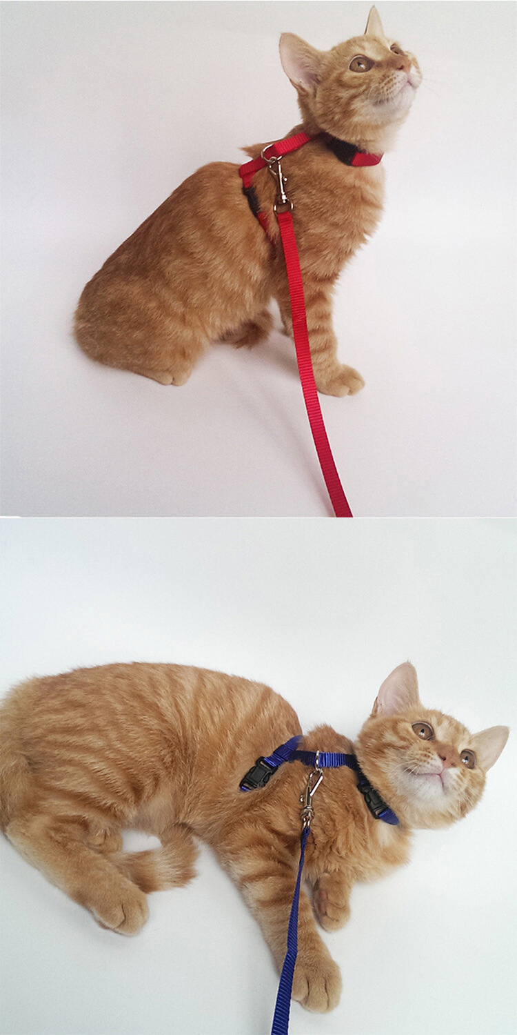 10 Colors Adjustable Pet Cat Collar For Cats Cozy Nylon Rabbit Kitten Harness Leash Set