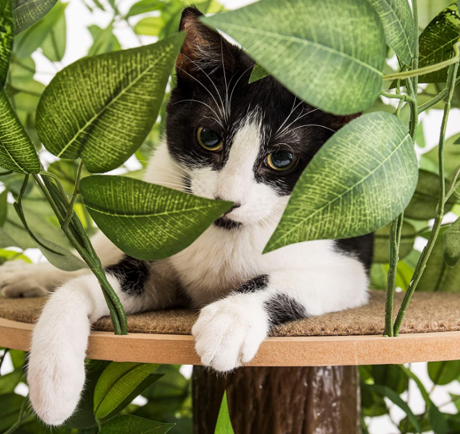 Cat Play Tower