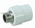 Amico PPR Coupling PPR Bushing PPR Socket
