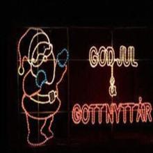 Christmas Lights for Indoors/Outdoors