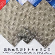 compounded graphite sheet with tanged S.S304 S.S316L insert