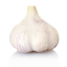 Pakistan Good Qulity Fresh Garlic