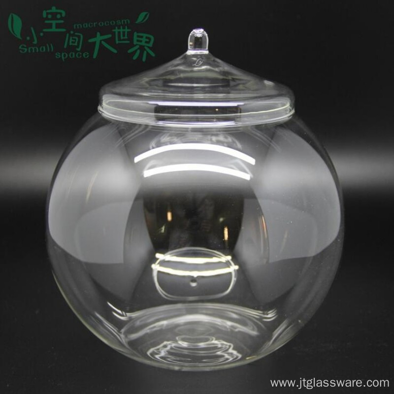 Glass Jar Terrarium With Wooden Lid