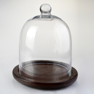 clear glass dome with wooden base