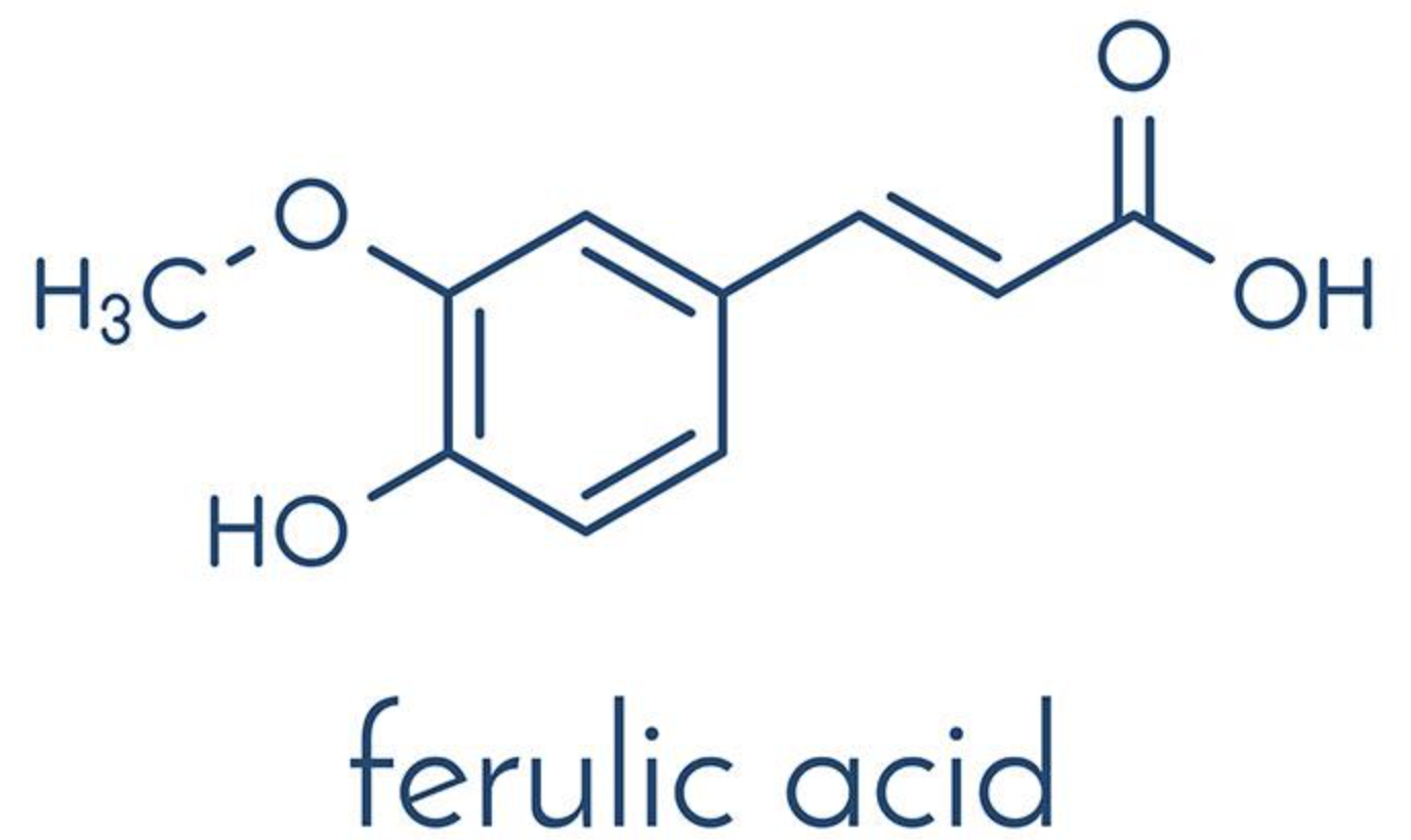 Materia prima de ácido ferúlico Ferulic Acid Raw Material