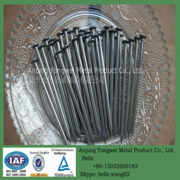 YW--common wire nial/iron nials manufacturer