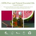 Wholesale Organic Watermelon Seed Oil Price High Quality For Cooking