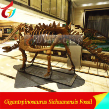 Original Size Dinosaur Skeleton Model For Sale