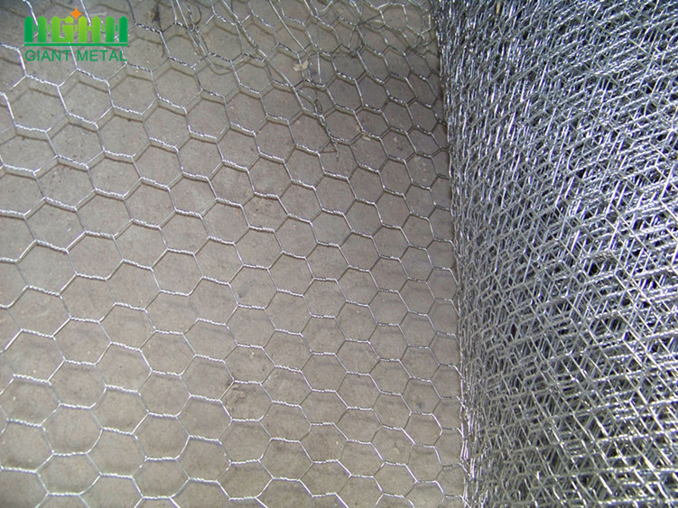 PVC Coated Galvanized Hexagonal Wire Mesh