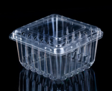 Clamshell Vegetable Packaging Plastic Fruit Box