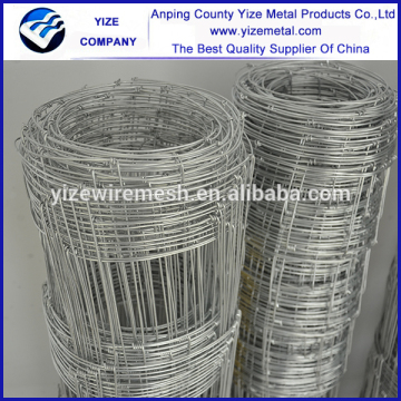 field fence/ hinge joint knot weaving mesh/ cattle fence