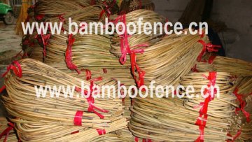 Hooped Bamboo Ladder