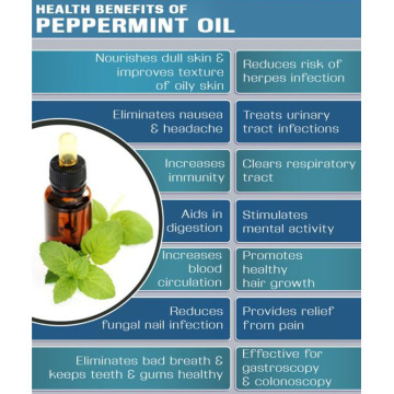 Wholesale 100% pure Peppermint oil