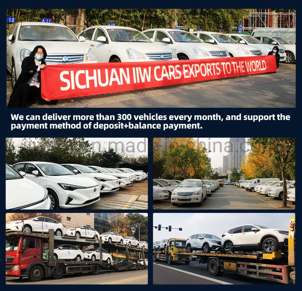 Made in China 2023 Li L9 Electric Cars New Energy Vehicles Pure Battery Automobiles Electro Car SUV High Speed Cheap New Car for Sale