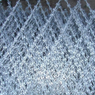 Corperctina Razor Wire/Single Loop الحلاقة